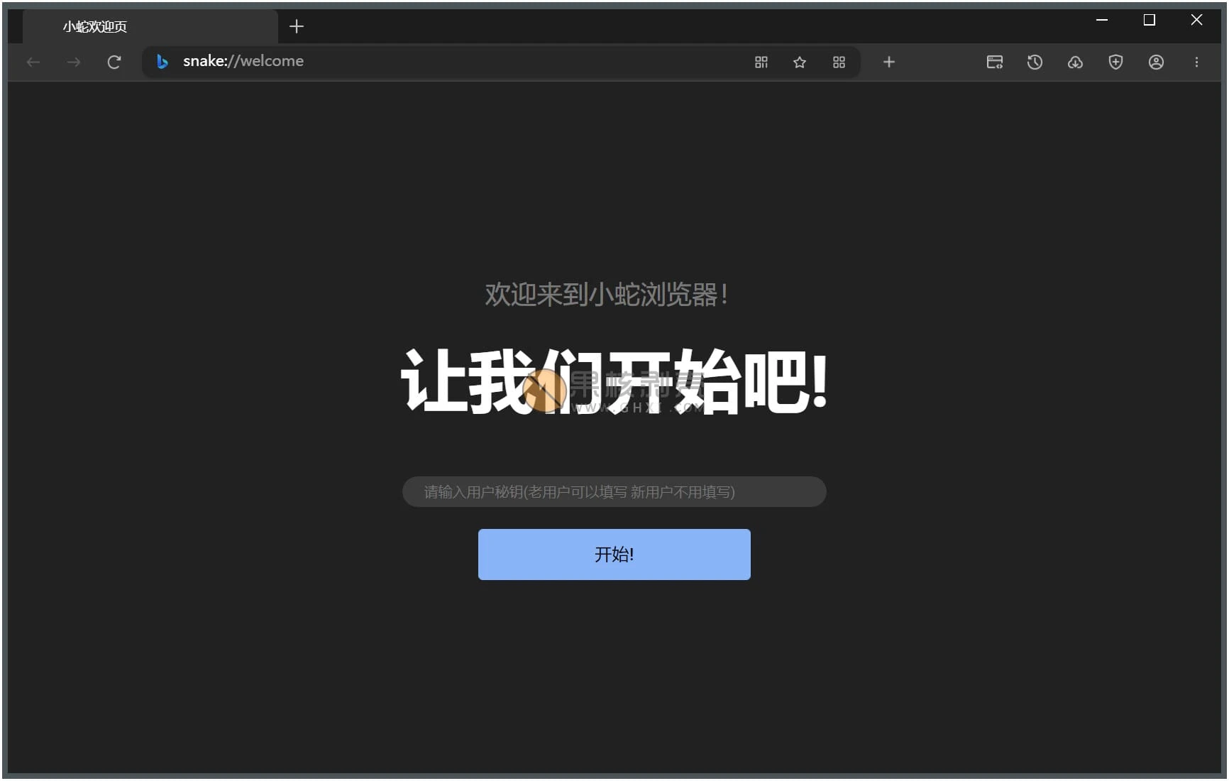 小蛇浏览器 v1.0.40 绿色版-尚艺博客