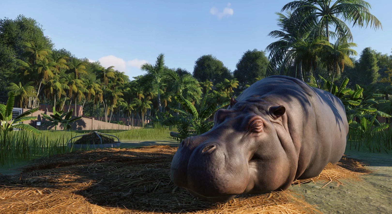 《Planet Zoo 动物园之星》v1.2.5.63260 官方中文版-尚艺博客