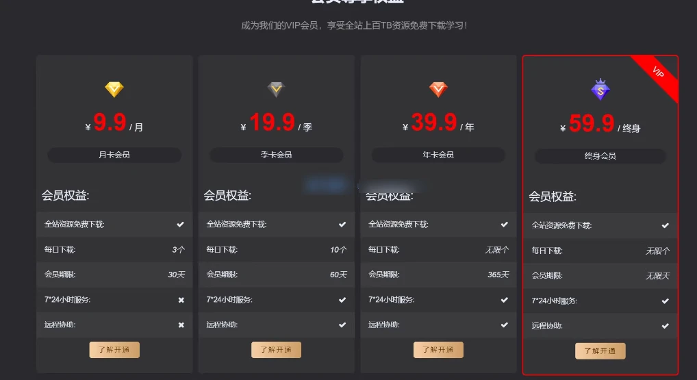 子比主题 – 首页VIP购买小工具第2张